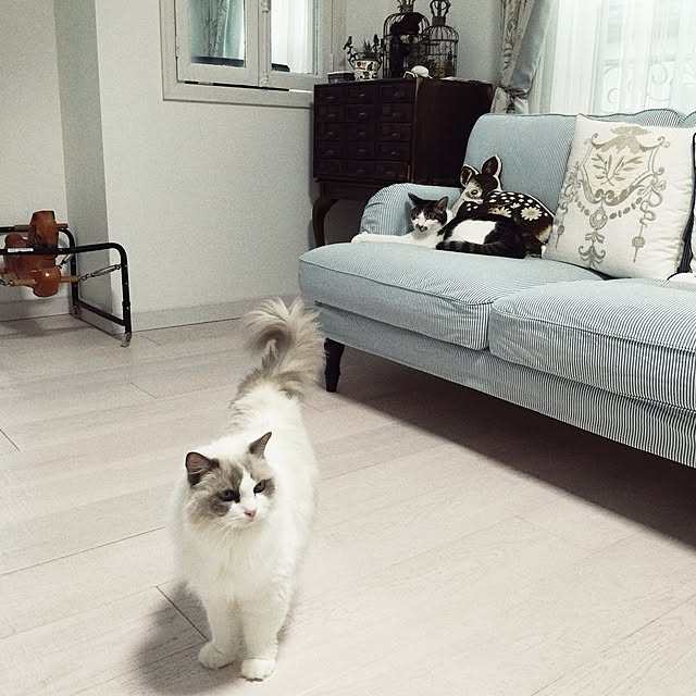 yuchiさんの実例写真