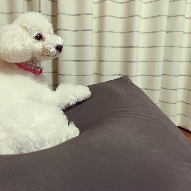 ucaさんの実例写真