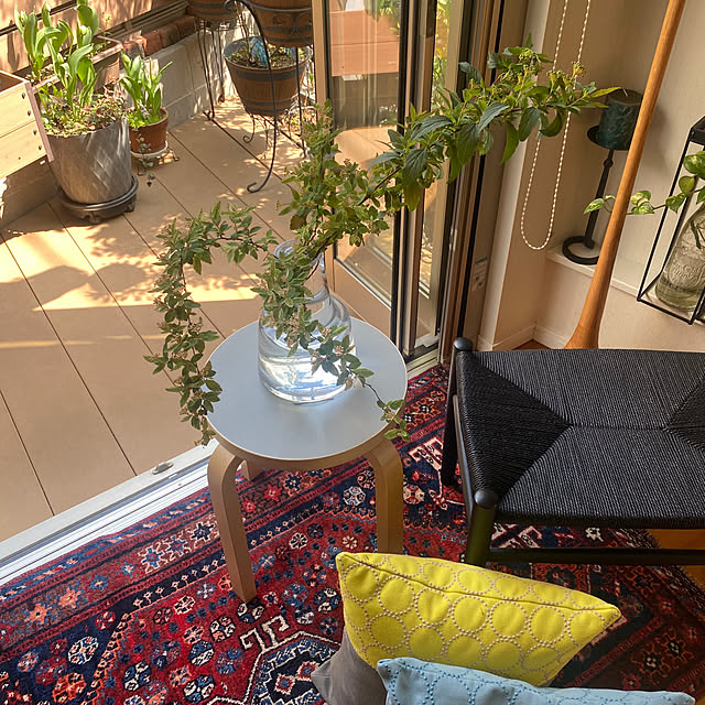 fu-mufumuさんの部屋