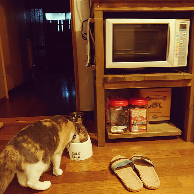 fukuさんの実例写真