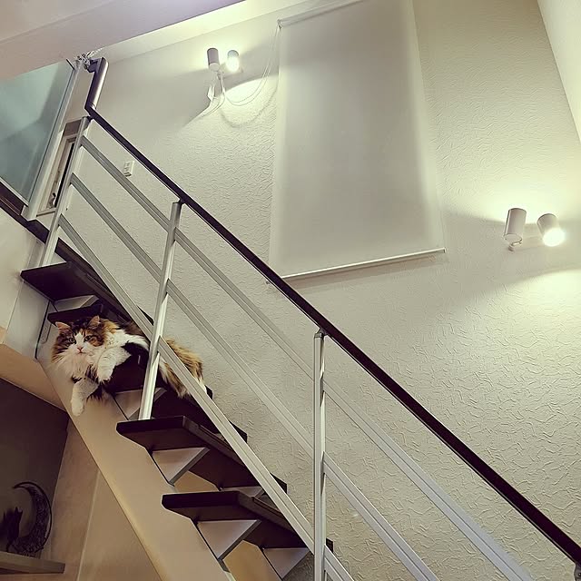 akiko6193さんの部屋
