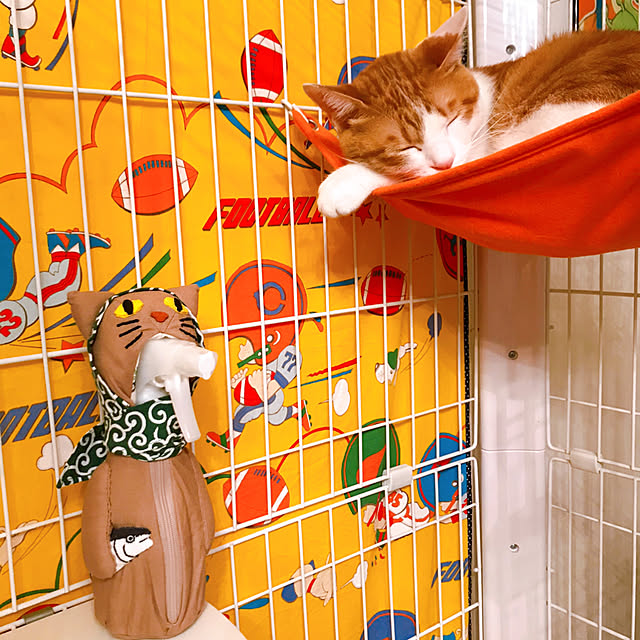 meさんの実例写真