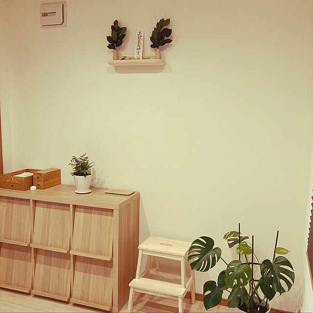 観葉植物/ナチュラル/ニトリ/雑貨/IKEA...などのインテリア実例 - 2021-07-30 12:11:35