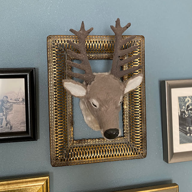 misacoさんの部屋