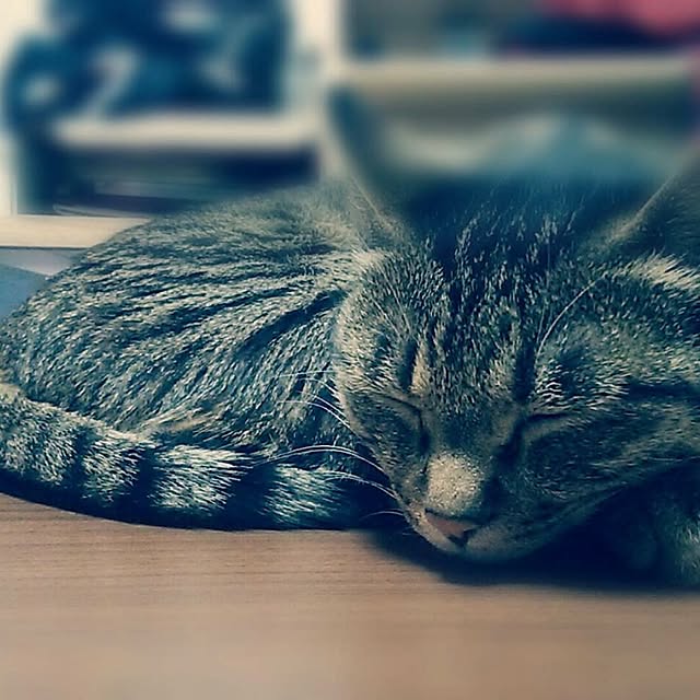 naomiさんの実例写真