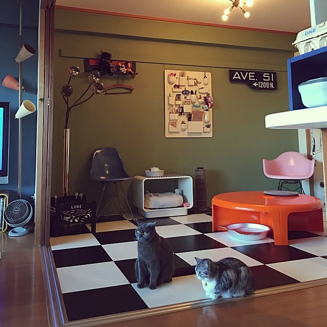 Shojiさんの実例写真