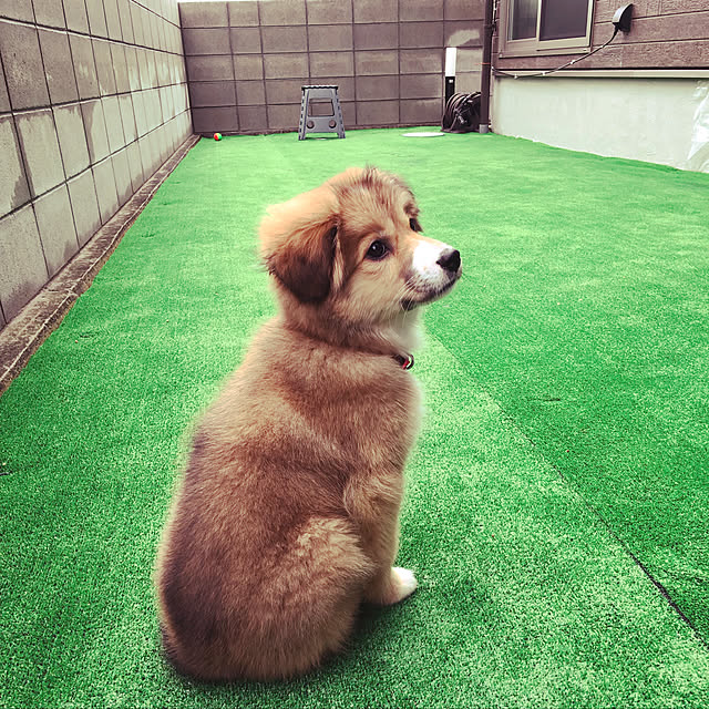 simamuさんの実例写真