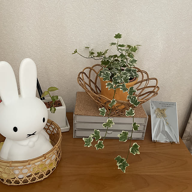 toraさんの実例写真