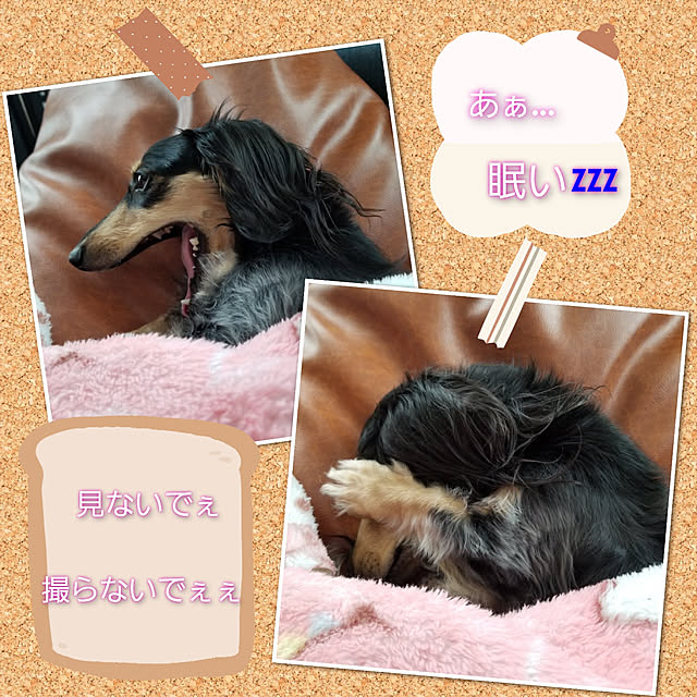 momozouさんの実例写真