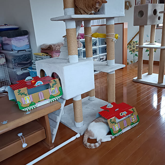 omutsuさんの実例写真