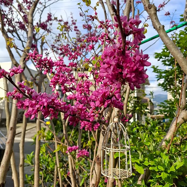 midoriさんの部屋