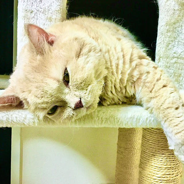 naokoさんの部屋