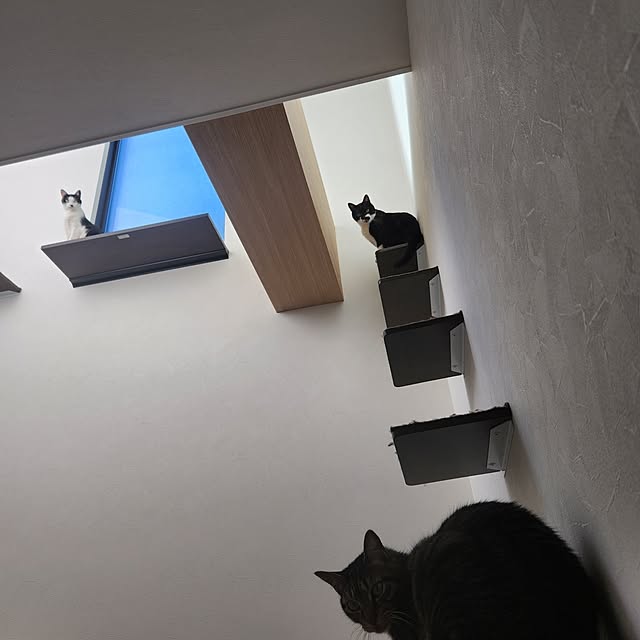 ベッド周りのインテリア実例 - 2024-12-09 21:14:28