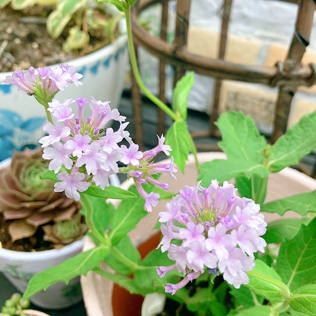 sunabaさんの部屋