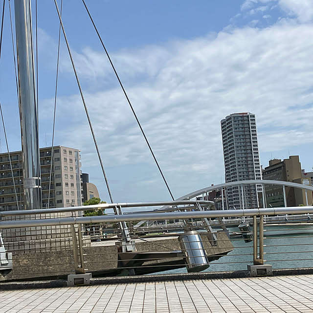 koshiregutyoさんの部屋