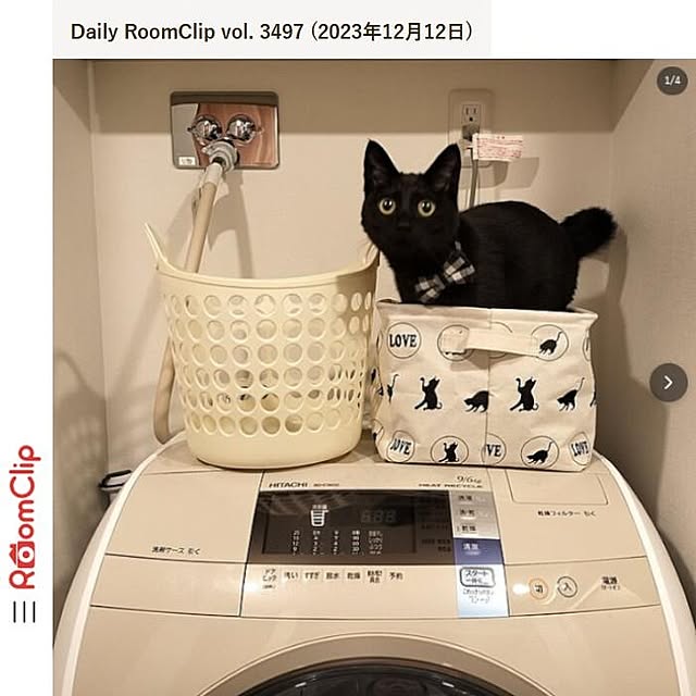 sakuraさんの実例写真