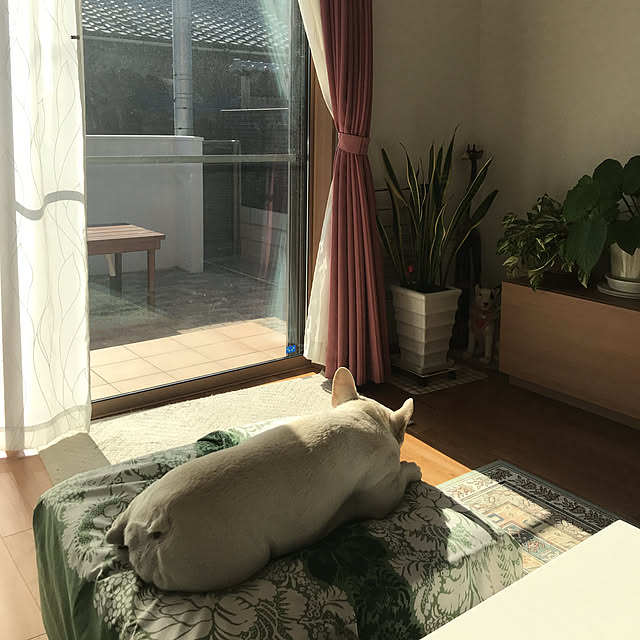 putih328さんの実例写真