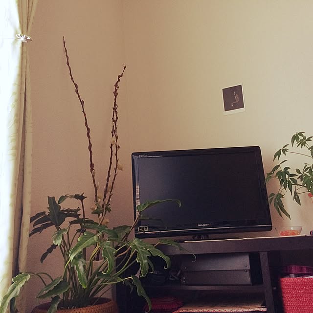 tomonon0812さんの実例写真