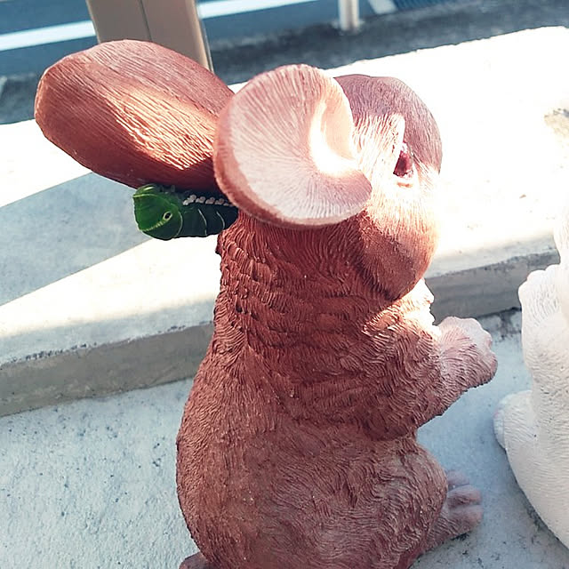 futukoさんの実例写真