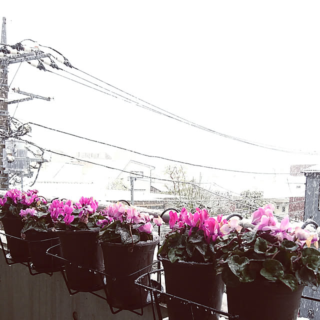 bonobono54さんの実例写真