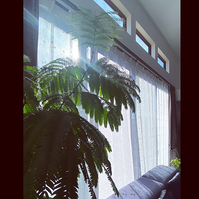 cocochiさんの部屋
