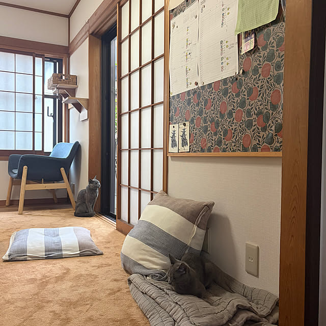 mayugehaさんの実例写真
