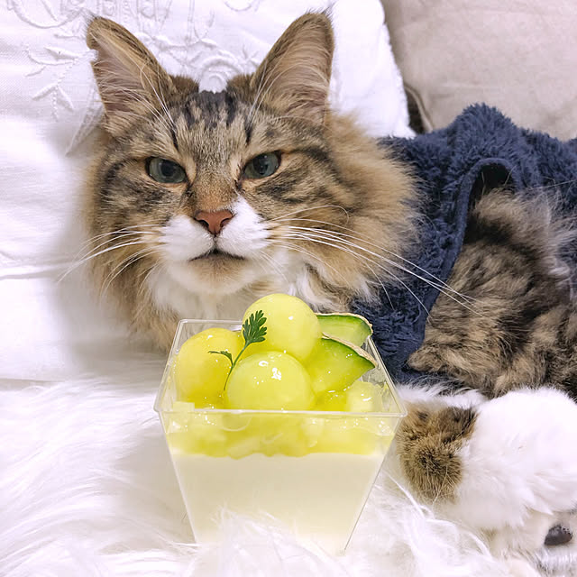 yuchiさんの実例写真