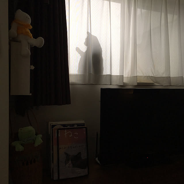 mikomaruさんの実例写真