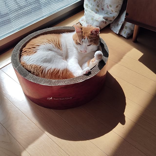 mugi77327732さんの実例写真