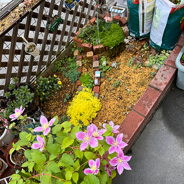 yumiさんの部屋