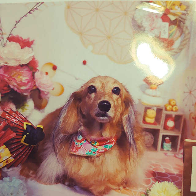 rikachakoさんの実例写真