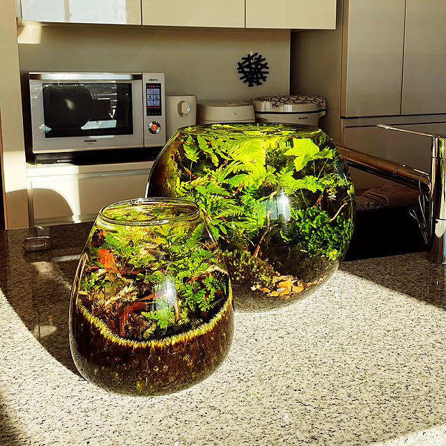 nanakoさんの実例写真