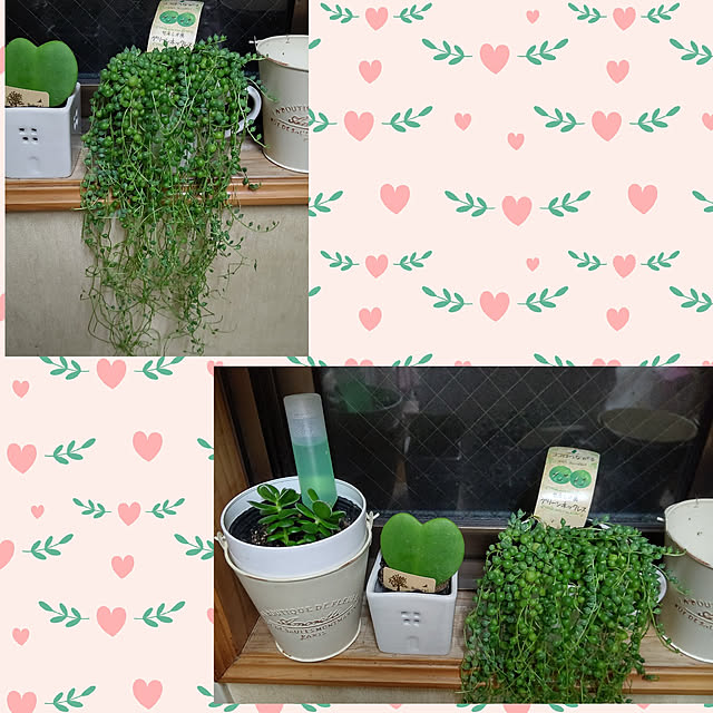 yumirinさんの実例写真