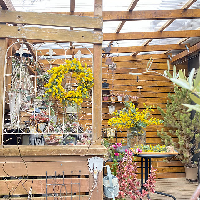 mintteaさんの部屋