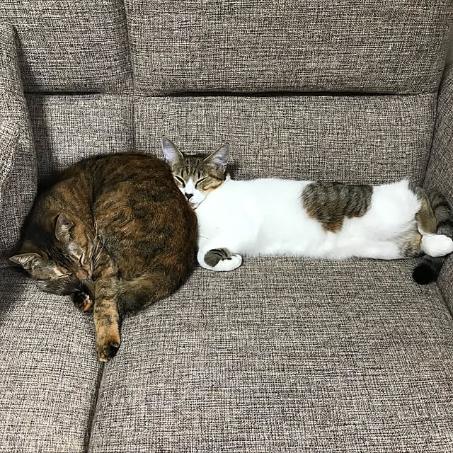 moka06さんの実例写真