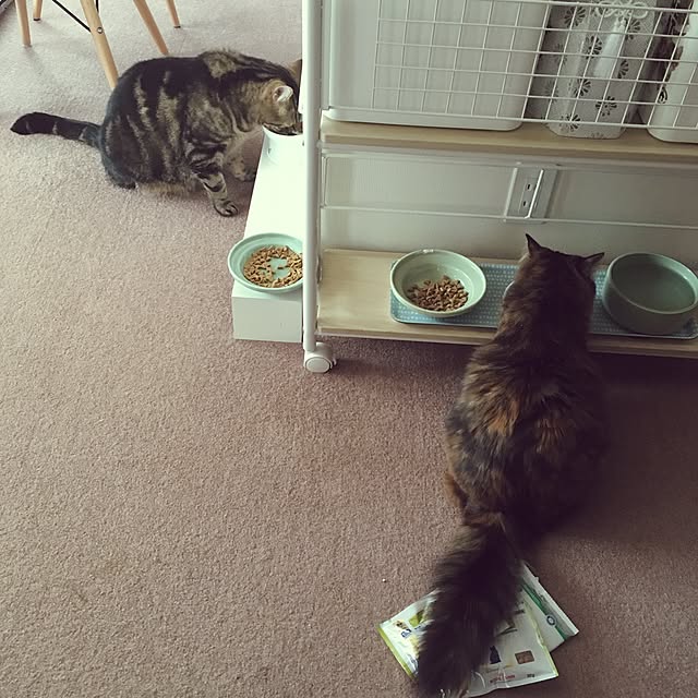 mikomaruさんの実例写真