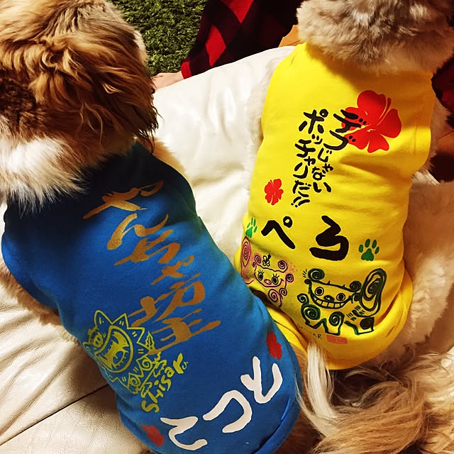 issei19maasa10さんの実例写真