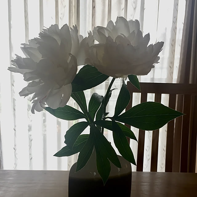 TyskTさんの実例写真
