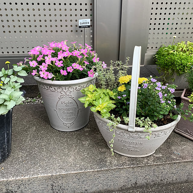 maayaさんの部屋