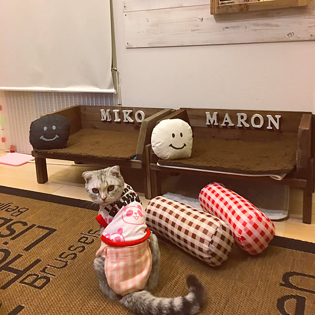 yokkochanさんの実例写真