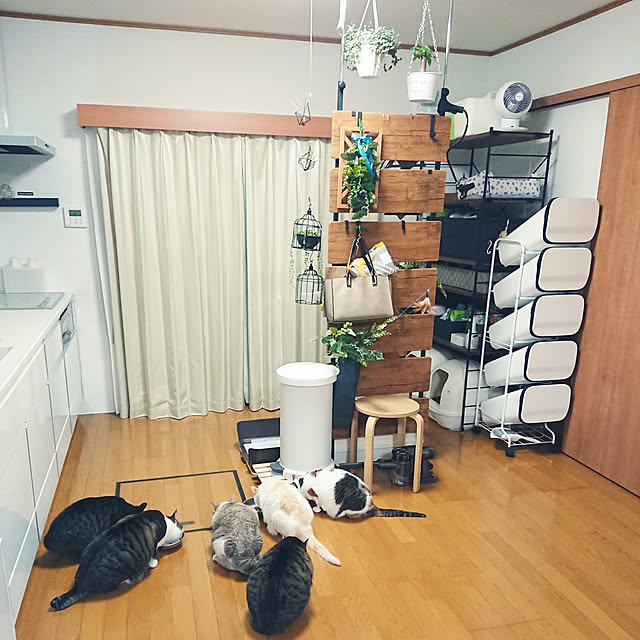 nachiさんの実例写真