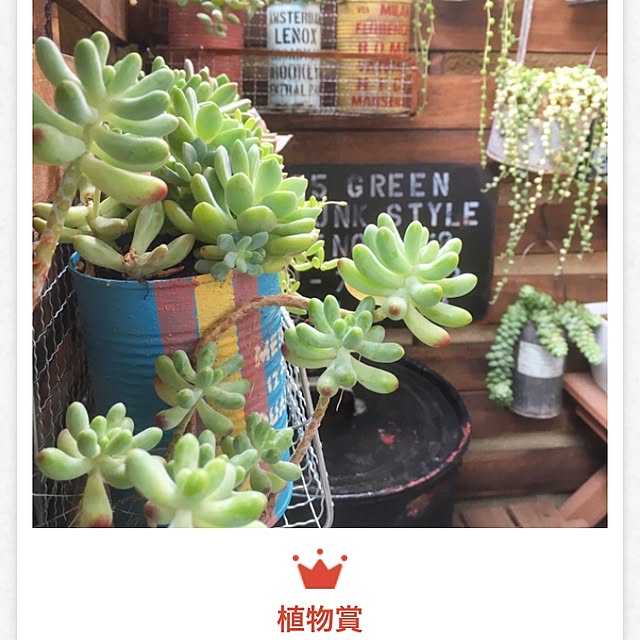 rupunさんの実例写真