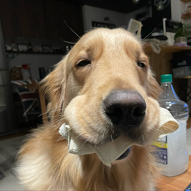 marinkoさんの実例写真