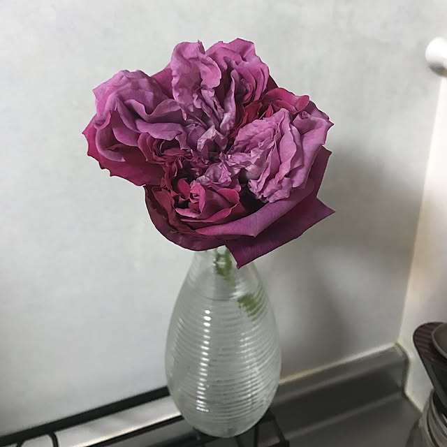 megu_mamaさんの実例写真
