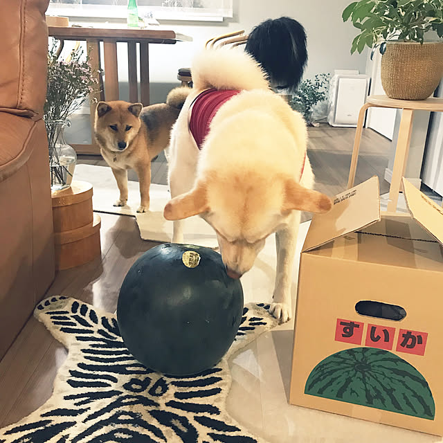 mtkさんの実例写真