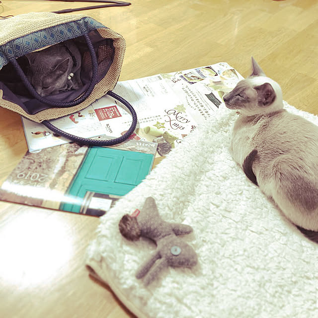 mujinekoさんの実例写真