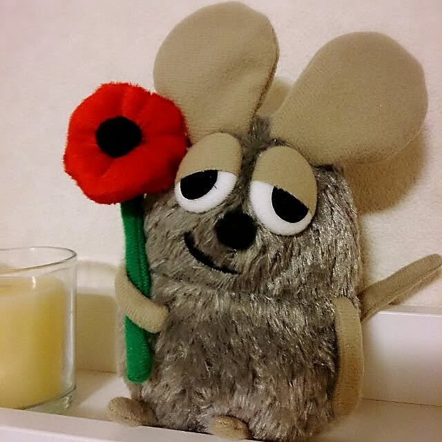 kazehoshiさんの実例写真