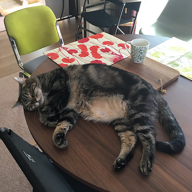 mikomaruさんの実例写真
