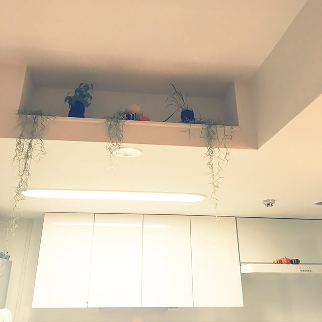 ttさんの実例写真