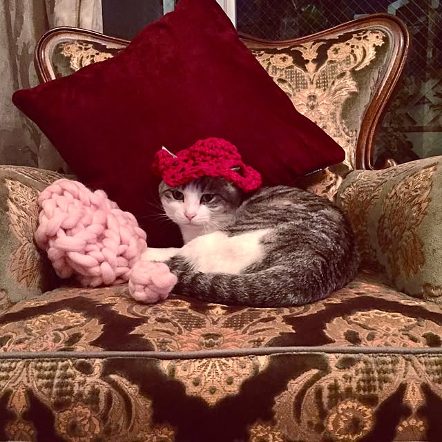 emmyyさんの実例写真